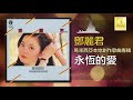 邓丽君 teresa teng 永恆的愛 yong heng de ai original music audio