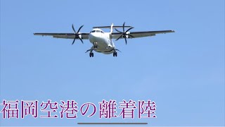 福岡空港南側からの大迫力離着陸撮影