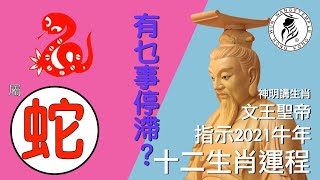 屬蛇 | 今年有乜停滯？ | 2021辛丑牛年 | 人講生肖你聽得多，神明講生肖你一定未聽過 | 主持：香Sir