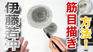 【描き方】伊藤若冲の技法 筋目描きを再現！