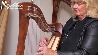 Muzikkon McHugh Harp 27 String Rosewood Round Back Played By Ann Tuitte