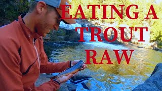 Eating Brook Trout RAW! (Catch and Eat?)