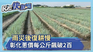 雨災後復耕慢 彰化蔥價每公斤飆破2百－民視新聞