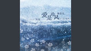 爱是冷风情是花 (Dj浩然版)