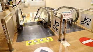 【フジテック製】ニトリ姫路広畑店　降りエスカレーター