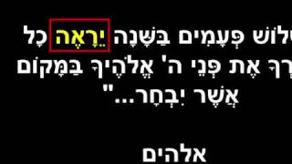 זמיר כהן - המחזיר לכפירה - הר הבית