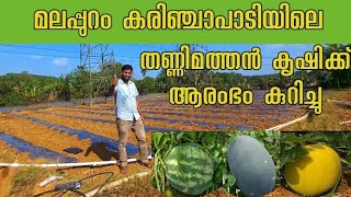 watermelon farming and cultivation in malayalam|തണ്ണിമത്തൻ ഇപ്പോൾ നട്ടാൽ വിളവ് ഉറപ്പ്|krishi|agro