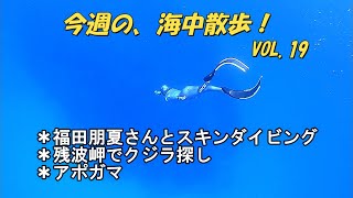 今週の海中散歩！（スキンダイビング）VOL.19　福田朋夏さんとスキンダイビング・残波岬・アポガマ