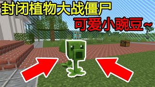 Minecraft：『封闭植物大战僵尸』！在MC里玩PVZ，可爱的小豌豆！EP2【煞神吖】