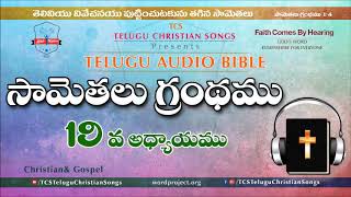 Proverbs Chapter 19 ( సామెతలు గ్రంథం) || Telugu Audio Bible || Samethalu in Telugu