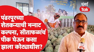 Pandharpur Sitaphal Story : सीताफळांचं पीक घेऊन 'हा' शेतकरी कसा झाला कोट्याधीश | Maharashtra Farmers