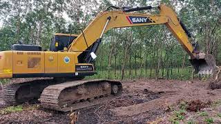 เหมาขุดตอ ยางพารา 4 ไร่ ในกำลังตก SANY SY200C 158hp k3v ชมไป บ่นไป excavator ep.9525