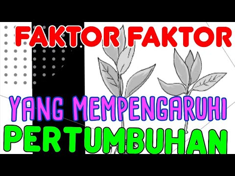 Faktor Faktor Yang Mempengaruhi Pertumbuhan Dan Perkembangan-materi ...