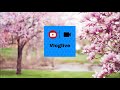 The 126ers - Water Lily  (Vloglive Remix)