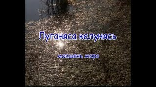 «Луганяса келунясь» - муз. и сл. народные. Караоке по-мордовски.