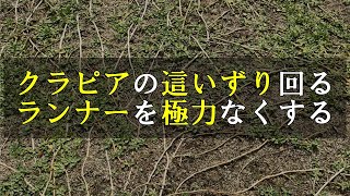 クラピアの這いずり回るランナーを極力なくす