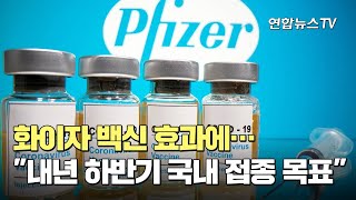 화이자 백신 효과에…\