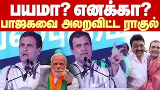 Rahul Gandhi Fire speech | பாஜக மிரட்டல்களுக்கு நான் பயப்பட மாட்டேன்.. குமரியில் ராகுல் மாஸ் பேச்சு