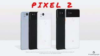 Introducing the Pixel 2: Mixed feelings!