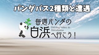 【ドライブ動画】毎週パンダの白浜へ行こう！2021/12/12 Driving video to Shirahama