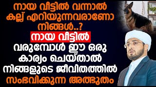 നായ വീട്ടിൽ വരുമ്പോൾ ഈ ഒരു കാര്യം ചെയ്താൽ നിങ്ങളുടെ ജീവിതത്തിൽ സംഭവിക്കുന്ന അത്ഭുതം...