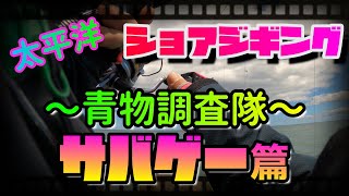 【青森県太平洋】ショアジギング〜青物調査隊〜サバゲー編