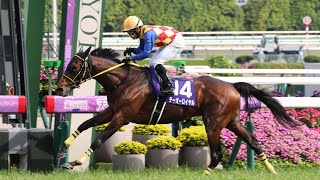 【GI】第169回天皇賞(春)実況[優勝馬　テーオーロイヤル　菱田裕二騎手]