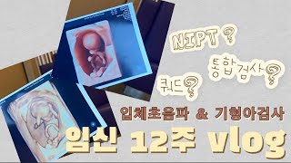 [임산부 vlog] 첫 입체초음파 \u0026 기형아검사 ? 통합검사 ? NIPT ?