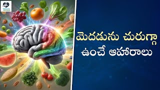 మెదడును చురుగ్గా ఉంచే ఆహారాలు | Brain Foods That Help You Concentrate | Brain Healthy Foods