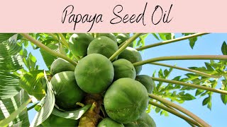 Papaya Seed Carrier Oil, INCI: Carica Papaya Seed Oil. Rich in Papain Exfoliating Enzymes.