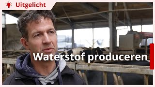 Uitgelicht | Waterstof produceren op melkveebedrijf