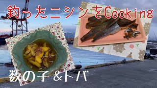 石狩で釣ったニシンをクッキング！