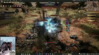 검은사막 B급 전승금수랑 Tamer Succession  AP 335 Tungrad ruins 30k