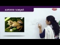 Learn missing letters in Malayalam | Preschool Educational Videos | Kids Learning