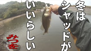 バス釣り　冬はシャッド＆濁りったポイント攻略　Bass fishing in Japan