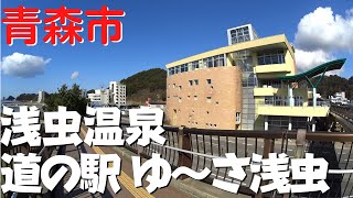 【青森市の観光】 道の駅浅虫温泉『ゆ～さ浅虫』を散策 ゆうやけ橋から眺める海が絶景【青森県青森市】