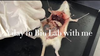 A day in Bio Lab with me!!!! (KMPk Vlog)