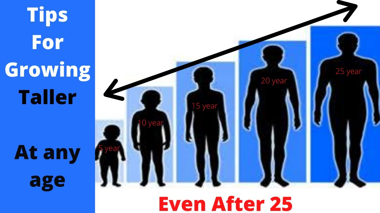 How To Grow Taller At Any Age Grow Taller After 25 Youtube