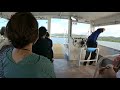 八重山諸島ひとり旅★西表島★仲間川マングローブクルーズ一１・nakama river mangrove cruise 1・iriomote island・yaeyama islands solo