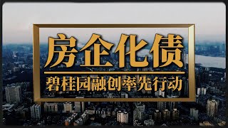 2025中國房企化債大年，碧桂園融創率先行動| 2025房價 | 中國房價 | 大陸投資