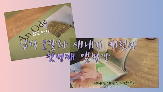 [캐럿로그 #1] 언오드 호프 버전 앨범깡 (부제 : 운수좋은날) Unboxing SEVENTEEN Album - An Ode Hope ver.