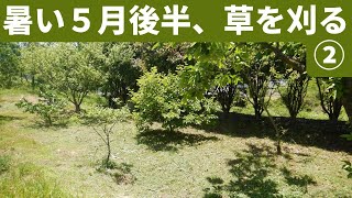 642：土煙あがる、５月でこの暑さ、毎週少しずつ草を刈る2405