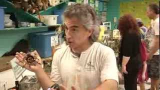 Interview with Mark Berman (The Bug Man) at the Toledo Zoo