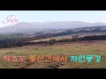 제주도 제주애월읍🌲중산간 에서 🌿자연풍경 제주오름 제주여행 인스파이어2 4k 3840x2160 60p 드론영상 제주도 중산간