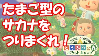 ポケ森　＃1（修正）【イースターのさかなを釣りまくるぞ！】あめこのどうぶつの森ポケットキャンプゲーム実況