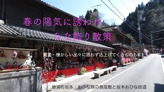 ⁉︎〜豪華絢爛、それぞれの雛人形をぶらり散策 2016 勝浦町坂本：おひな様の奥座敷と坂本おひな街道