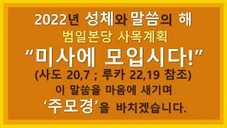 [범일성당 교중미사] 2022/4/17 주님 부활 대축일 낮미사