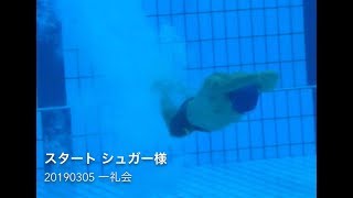 シュガー様 1年ぶりのスタート撮影 水中 20190305 一礼会