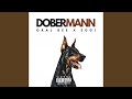 Dobermann