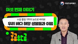 [국립한글박물관] 궁금한글 6회차 - 우리 바다 해양 생물들과 이름